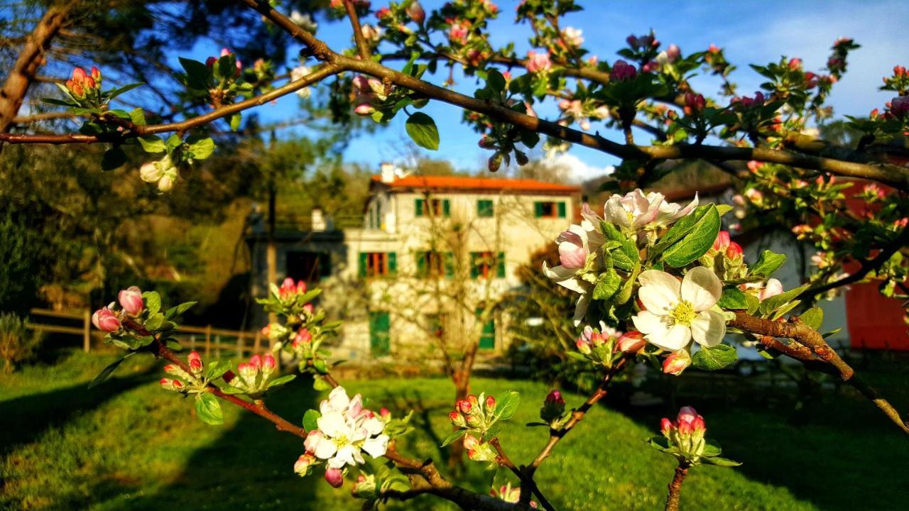 B&B Tre Ponti Castiglione Chiavarese Dış mekan fotoğraf