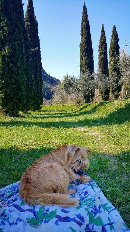 B&B Tre Ponti Castiglione Chiavarese Dış mekan fotoğraf